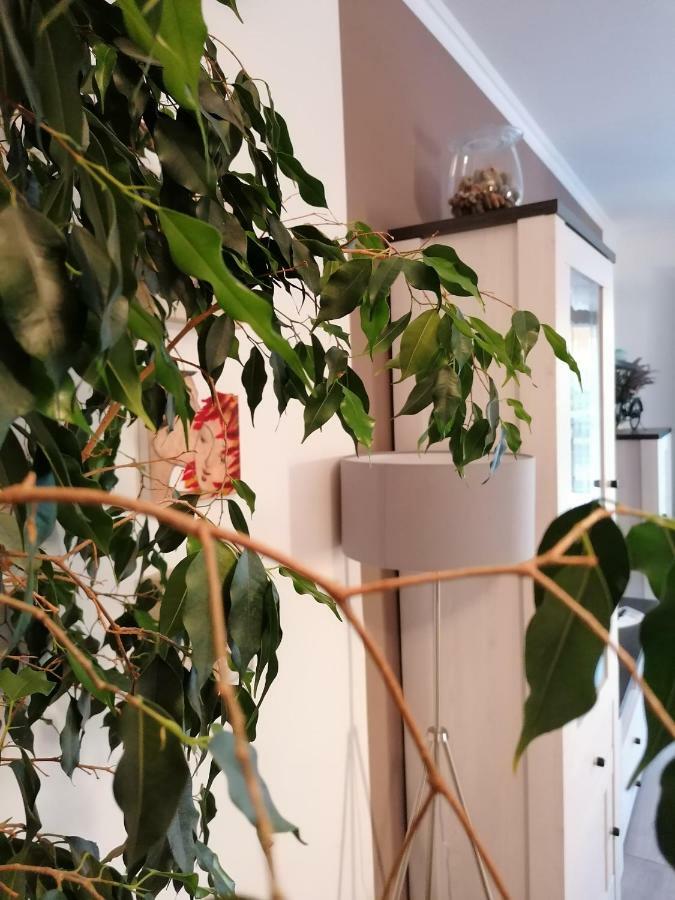 Luna Apartment *