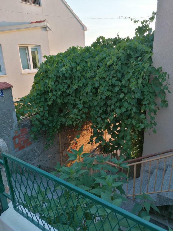 Apartment Luna