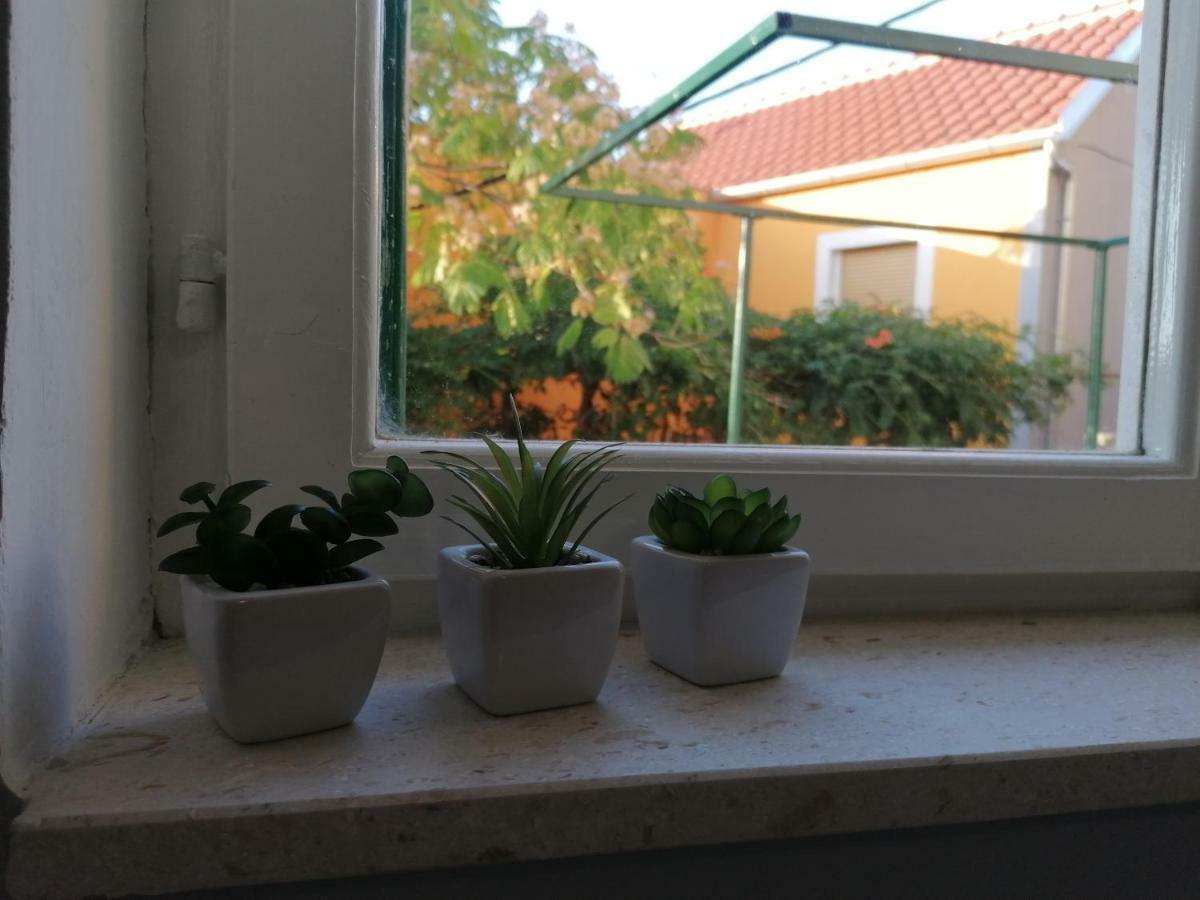Apartment Luna